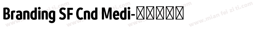 Branding SF Cnd Medi字体转换